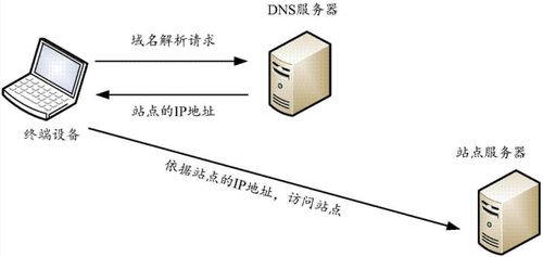 关于域名购买的知识介绍,想建站的必看